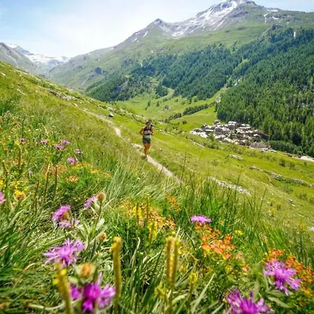 Grepon 2 - A Alpine Haven Chamonix