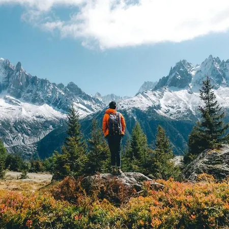 Apartment Grepon 2 - A Alpine Haven *