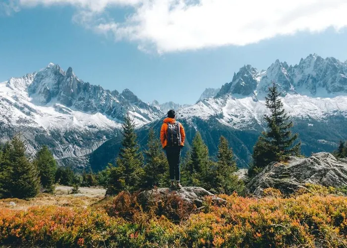 Appartement Grepon 2 - A Alpine Haven *