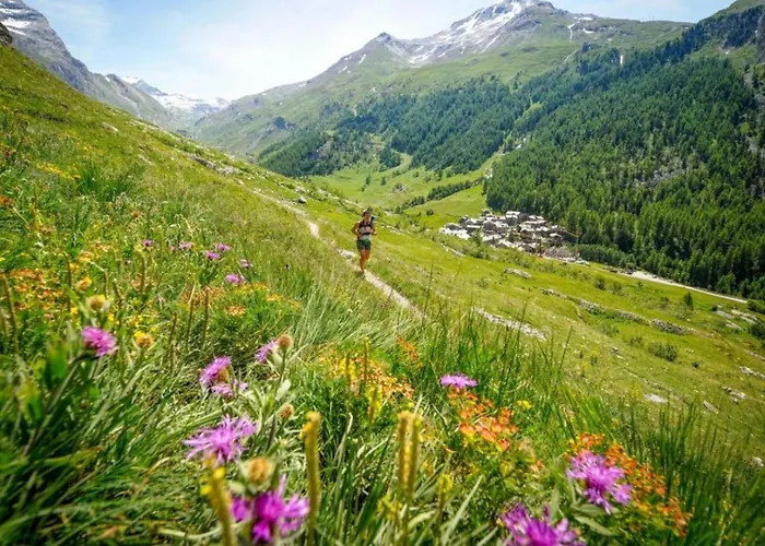 Grepon 2 - A Alpine Haven Шамоні